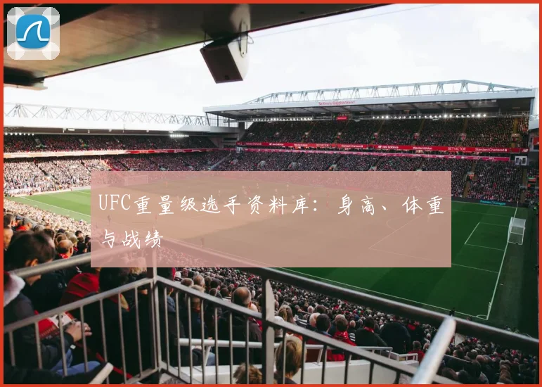 UFC重量级选手资料库：身高、体重与战绩