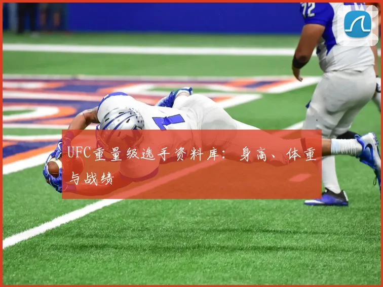 UFC重量级选手资料库：身高、体重与战绩