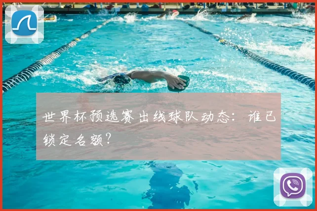 世界杯预选赛出线球队动态：谁已锁定名额？