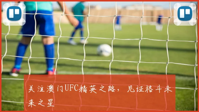 关注澳门UFC精英之路，见证格斗未来之星