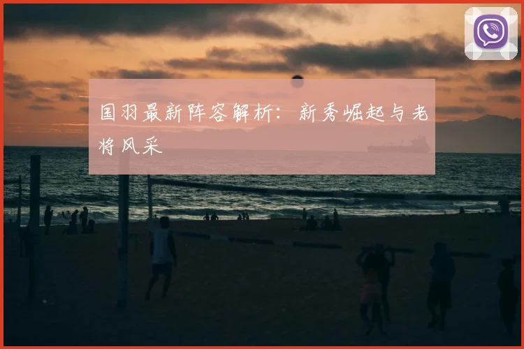 国羽最新阵容解析：新秀崛起与老将风采
