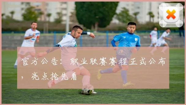 官方公告:职业联赛赛程正式公布,亮点抢先看