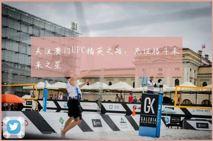 关注澳门UFC精英之路,见证格斗未来之星