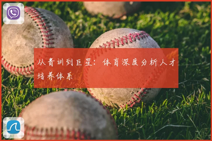 从青训到巨星：体育深度分析人才培养体系