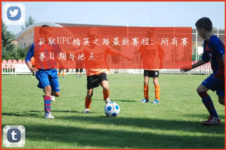 获取UFC精英之路最新赛程：所有赛事日期与地点