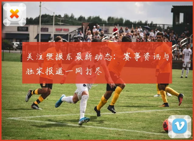 关注樊振东最新动态：赛事资讯与独家报道一网打尽